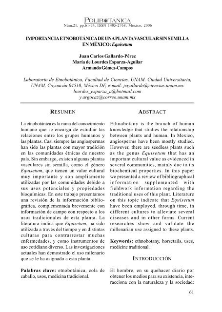 Importancia Etnobota Nica De Una Planta Vascular Sin Semilla En