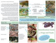 A Pocket Identification Guide for Frogs and Toads