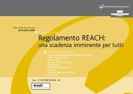 Regolamento REACH: - AssICC