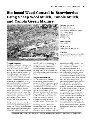 Bio-based weed control in strawberries using sheep wool mulch ...