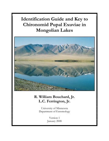 Identification Guide and Key to Chironomid Pupal Exuviae ... - Midge