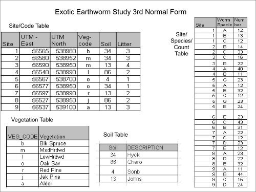 Normal Forms example