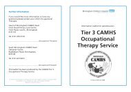 Tier 3 CAMHS Occupational Therapy Service - Birmingham ...