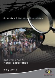 Retail Experience - Centre for Public Scrutiny