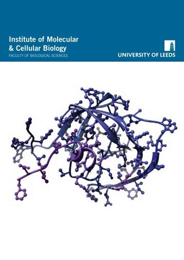 Institute of Molecular & Cellular Biology - Faculty of Biological ...