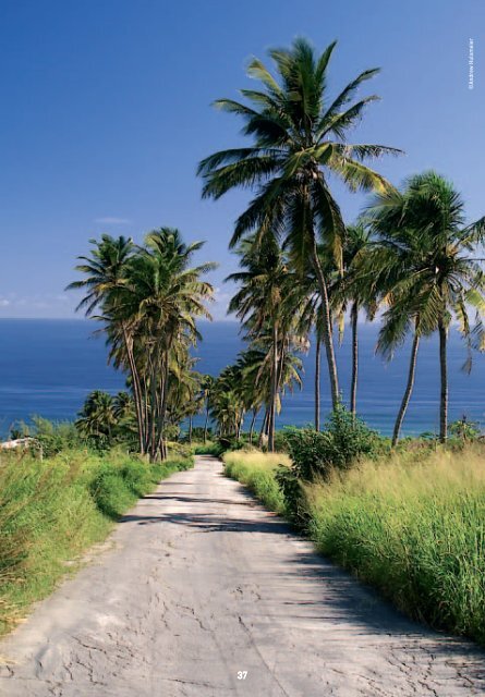 Ein Sprung in die Geschichte von Barbados - The Treasure Islands
