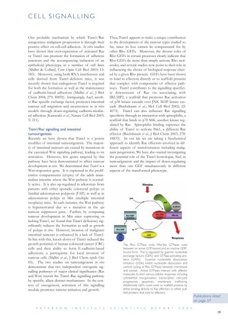 Paterson Institute for Cancer Research SCIENTIFIC REPORT 2005