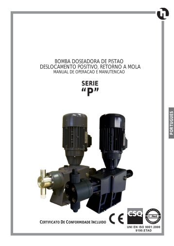 Manual Bombas Motorizadas SÃ©rie 2P - PistÃ£o (NOVA ... - Etatron