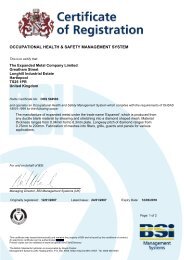 BSI Certificate - The Expanded Metal Company