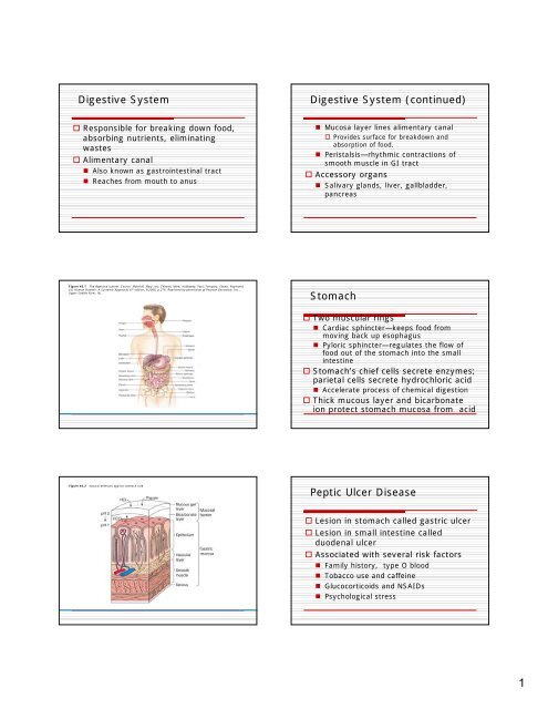 Ch 40 Peptic Ulcer Disease Pdf