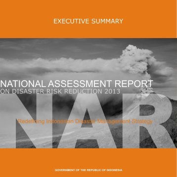 NATIONAL ASSESSMENT REPORT - BNPB