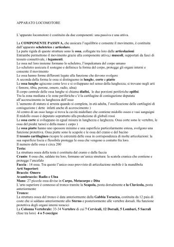 APPARATO LOCOMOTORE.pdf - Liceomanara.it