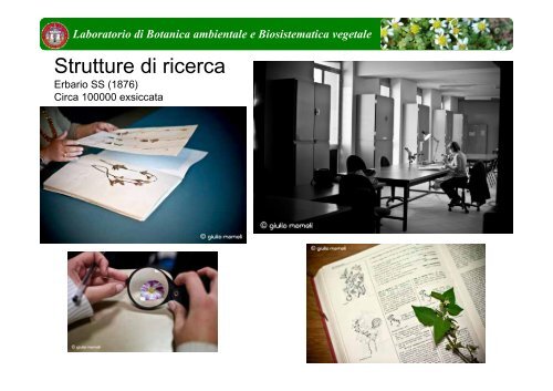 Botanica ambientale - FacoltÃ  di Architettura