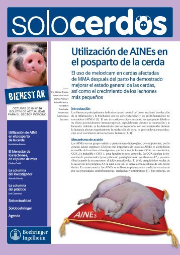 UtilizaciÃ³n de AINEs en el postparto de la cerda - Solocerdos.es