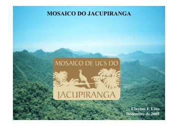 MOSAICO DO JACUPIRANGA - Reserva da Biosfera da Mata ...