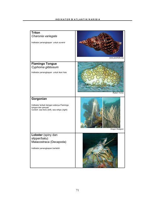 protokol-program-pemantauan-reef-check