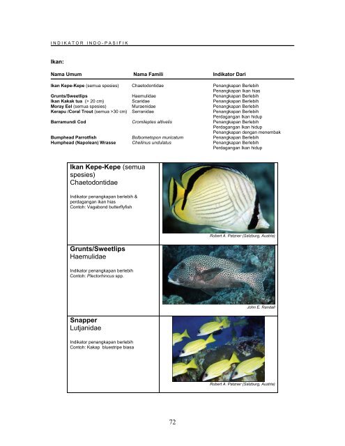 protokol-program-pemantauan-reef-check