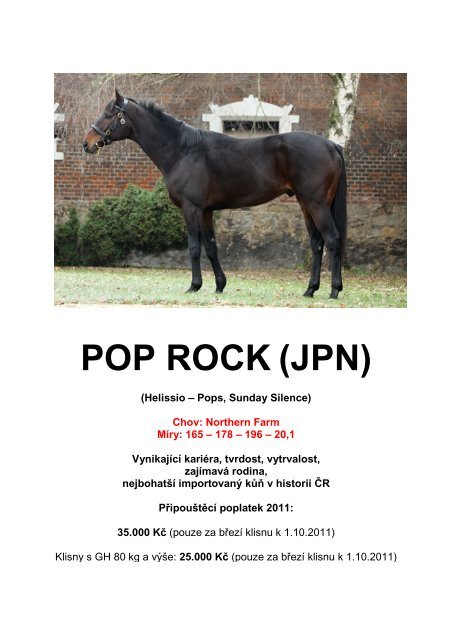POP ROCK (JPN)