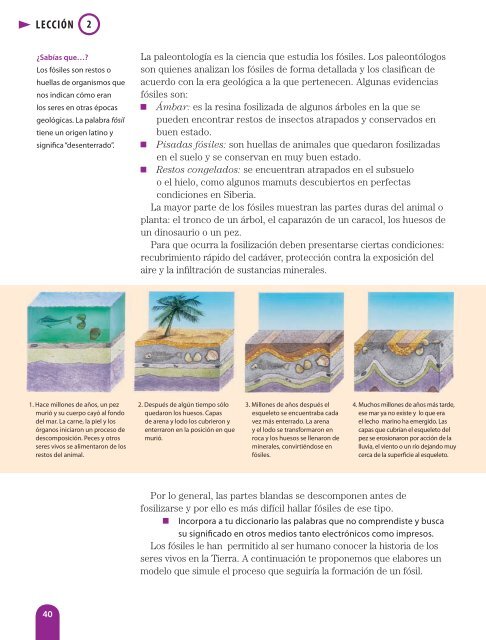 Ciencias Naturales - SecretarÃ­a de EducaciÃ³n del Estado de Chiapas