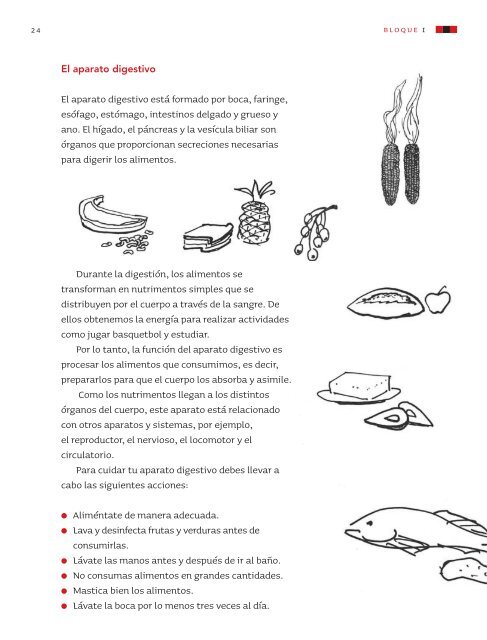 Ciencias Naturales 4 - SecretarÃ­a de EducaciÃ³n del Estado de ...