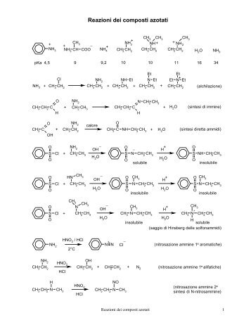 Ammine (pdf) - PianetaChimica.it