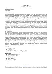 RELAZIONE IV SOLE â BRENTINO Data della relazione 18/05/2013 ...