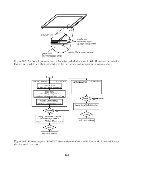 Experiment Proposal - opera - Infn