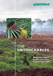 Rimbunan Hijau's world of forest crime - Greenpeace