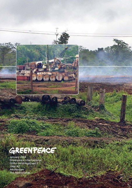 Rimbunan Hijau's world of forest crime - Greenpeace