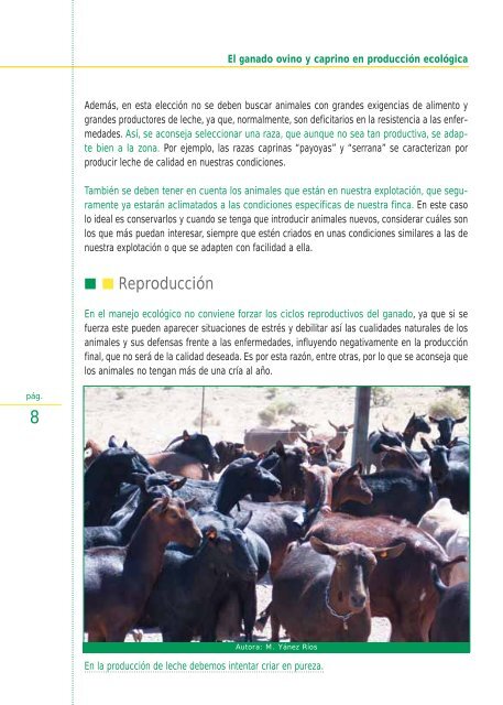 El ganado ovino y caprino en producciÃ³n ecolÃ³gica