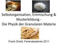 Die Physik der Granularen Materie