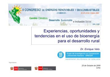 Experiencias, oportunidades y tendencias en el uso de bioenergía ...