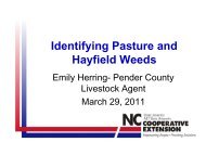 Identifying Pasture and Hayfield Weeds - Pender County Center