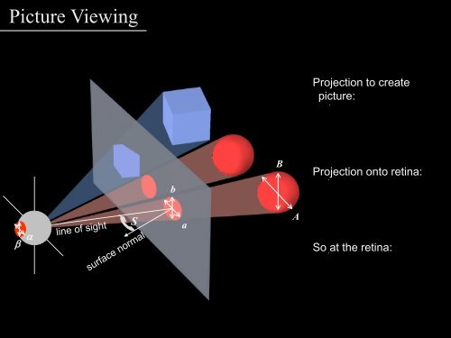 Perceptual Bases for Rules of Thumb in Photography