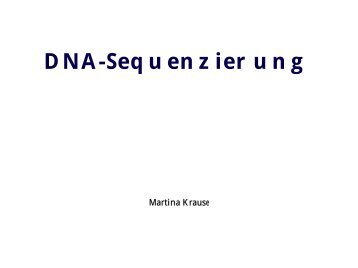 DNA-Sequenzierung