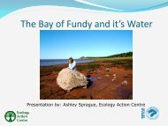 The Bay of Fundy and it's Water - Bay of Fundy Ecosystem Partnership