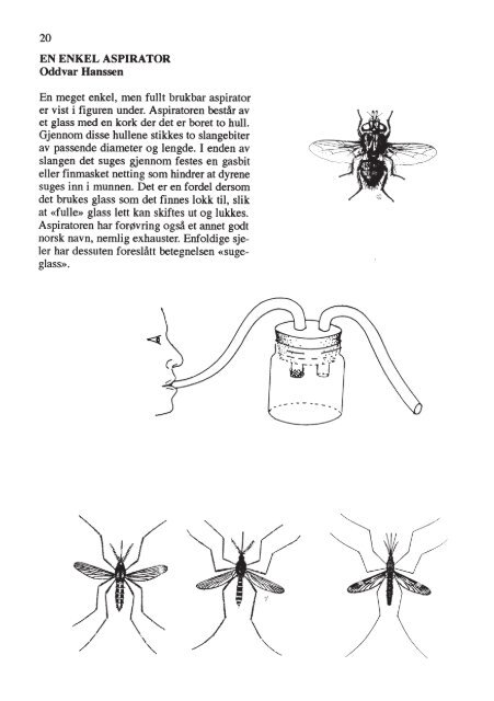 Insektnytt nr. 3/4 (1992) - Norsk entomologisk forening