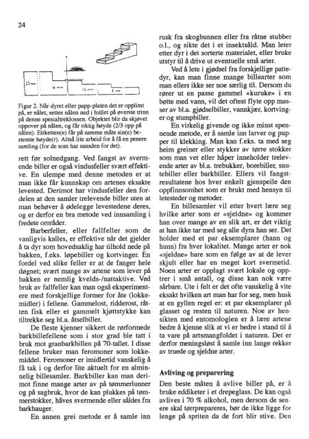 Insektnytt nr. 3/4 (1992) - Norsk entomologisk forening