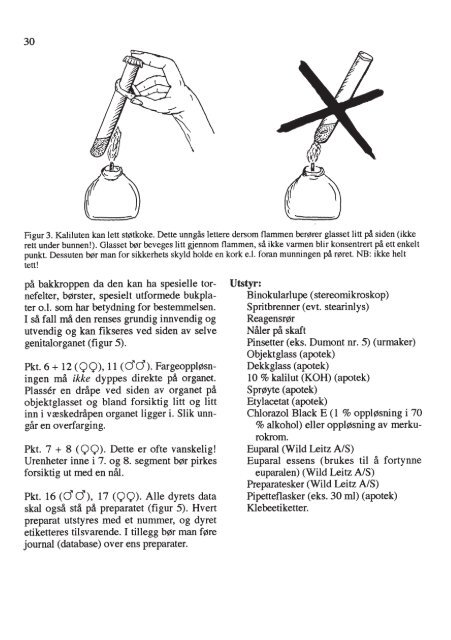 Insektnytt nr. 3/4 (1992) - Norsk entomologisk forening