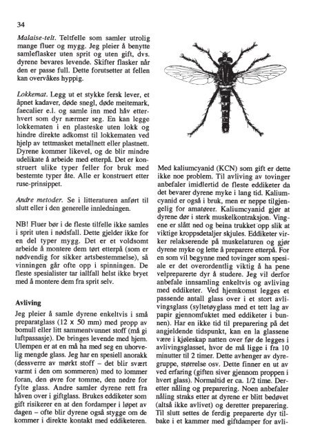 Insektnytt nr. 3/4 (1992) - Norsk entomologisk forening