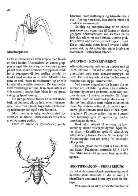 Insektnytt nr. 3/4 (1992) - Norsk entomologisk forening