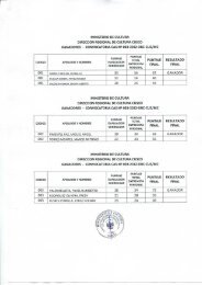 convocatoria cas n2 003-2012-drc-cus/mc puntaje final res