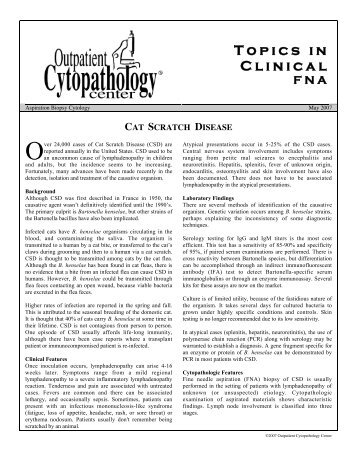 Cat Scratch Disease - Outpatient Cytopathology Center
