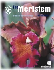 The Meristem-1998 Annual Report - Purdue University Botany and ...