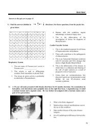 Quiz time! Answers to the quiz are on page 43 1) Find the answers ...