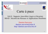Carte Ã  puce - Damien Sauveron
