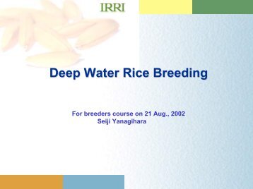 Deep Water Rice Breeding.pdf - Rice Knowledge Bank