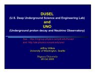 DUSEL and UNO - Stony Brook NN Group