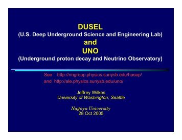 DUSEL and UNO - Stony Brook NN Group