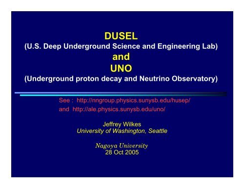 DUSEL and UNO - Stony Brook NN Group